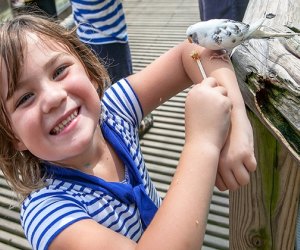 Wild April School Vacation Week at Franklin Park Zoo