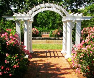 The Frelinghuysen Arboretum is a beautiful destination