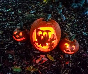 We're glowing from free Halloween fun! Photo courtesy of Friends of Francis William Bird Park, via their Facebook page.