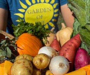 armful of vegetables