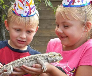 Celebrate your child's birthday party at Gatorland. Photo courtesy of Gatorland