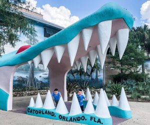  Gatorland: travel Kissimmee with kids 