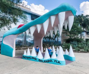 Spend the day at Gatorland!