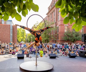 Summer Solstice 2023: Night at the Harvard Museums