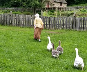 Take a trip back to the Colonial era this weekend. Photo courtesy of Colonial Pennsylvania Plantation