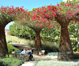 Botanical Gardens in Los Angeles: The Getty Center