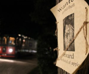 Take a trolley ride through the spooky streets of Cape May