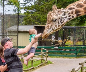 Family Memberships on Long Island Worth the Price