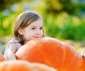 Best Pumpkin Patches in New Jersey for Kids - Mommy Poppins