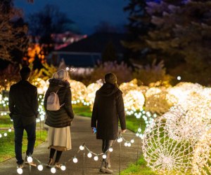 NYBG Glow  Mommy Poppins - Things To Do in New York City with Kids