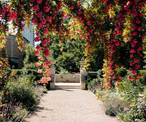 Goizueta Gardens at Atlanta History Center  Stunning Atlanta Gardens