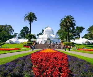 Visiting Golden Gate Park with Kids