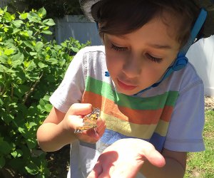 Parks and playgrounds for a birthday party on Long Island Sunken Meadow State Park