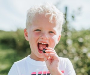 How sweet it is! Enjoy berries from Great Country Farms. Photo courtesy of the farm