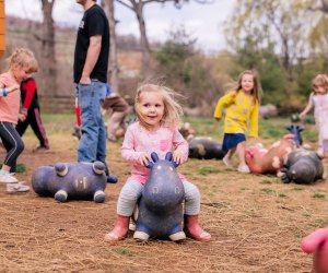 Columbus Day Weekend Things to Do in DC: Oktoberfest, Pumpkins, Art October 12-14, 2019 Photo by Kathryn Lee Photography courtesy of Great Country Farms