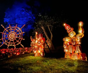 Jack-o'-lanterns stretch as far as the eye can see at The Great Jack-o'-Lantern Blaze. Photo by Susan Miele