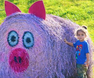 Weekday Fun: Great Pumpkin Festival, Read & Pick, Storytimes
