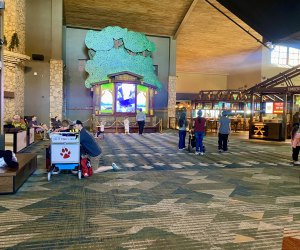 The renovated lobby at Great Wolf Lodge Grapevine. Image by Gabby Cullen