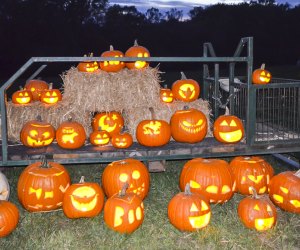 Bask in the glow of the Trail of Jack-O'-Lanterns. Photo courtesy of Green Meadows Farm & Petting Zoo