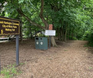 The Jack Harrington Greenway offers a family-friendly hike in the heart of White Plains.