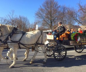 Wagon rides are part of the fun at the Greenwich Reindeer Festival.