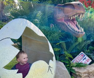 The Great Big Family Play Day is dino-mite! Photo by Gina Ragland