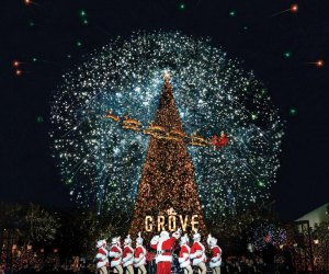 Neighborhoods With The Best Holiday Lights In The Bay Area - CBS San  Francisco