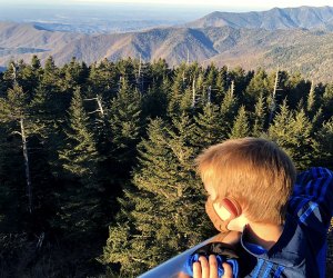 Climb to the highest point in Tennessee at Clingmans Dome in Great Smoky Mountains National Park.