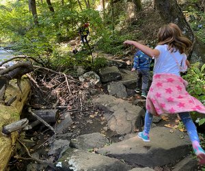 Most trails at Hacklebarney State Park follow along the river.