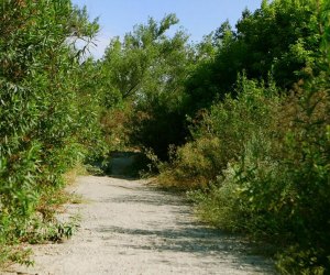 Wildlife Hikes for Kids  in Los Angeles: Hahamonga Watershed Park.