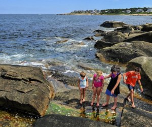 Photo of family at a tidal pool - Heat Wave Hot List