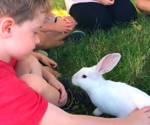 boy petting a bunny Hallockville Museum Farm