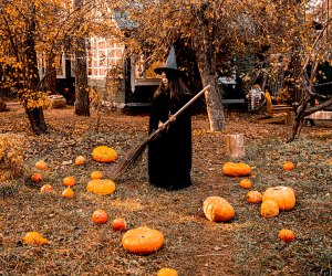 Hidden Objects Halloween Haunted Horror Mystery – Fall Pumpkin
