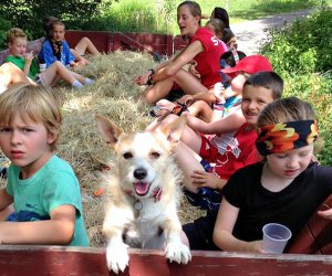 Halloween Hayrides can be sweet, not spooky—just ask this furry friend! Photo courtesy of Flamig Farm