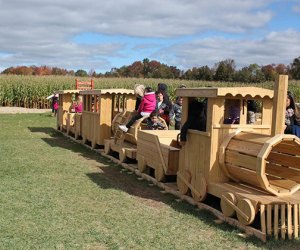 There's fun beyond pumpkin picking at Happy Day Farm