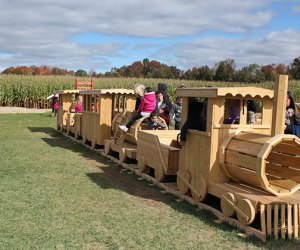 Pumpkin patches near New Jersey Happy Day Farm