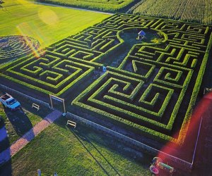 Corn mazes near NYC: Harbes Family Farm's