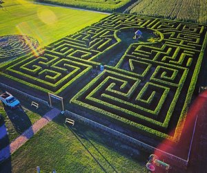 Harbes Family Farm on the North Fork offers multiple mazes for autumn entertainment. Photo courtesy of the farm