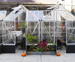 Harper's Garden in Center City offers 