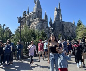 The Wizarding World of Harry Potter & Other Highlights of