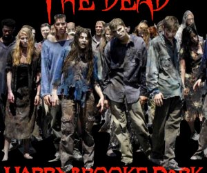 Harrybrooke Park's Haunted Trail