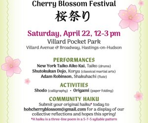 https://static.mommypoppins.com/styles/image300x250/s3/hastings_cherry_blossom_fest.jpeg