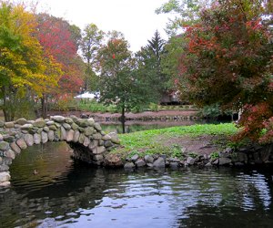 Traverse paved hiking trails at Heckscher State Park