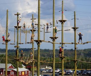 At times Hellerick's Family Farm can resemble a thrill park. Photo courtesy of Hellerick's Family Farm