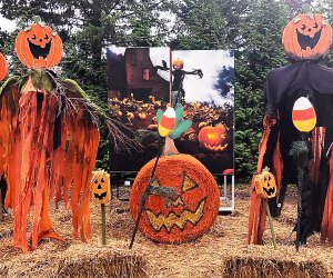Head to the Fall Festival at Hicks Nursery for some not-too-scary seasonal entertainment. Photo courtesy of the nursery