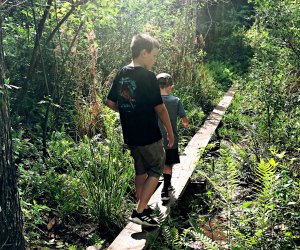 Challenge yourself on the walking beams at Hidden Waters Preserve.