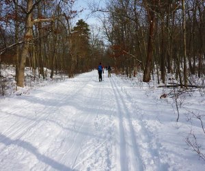 High Point offers 15 miles of cross-country trails