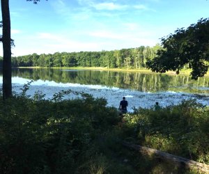 Camping near NYC: High Point State Park lake view