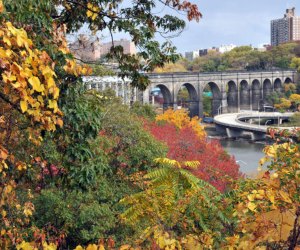 Fall foliage in Highbridge Park