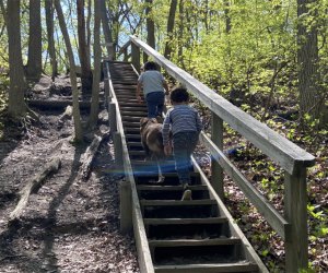 kids hiking in the woods